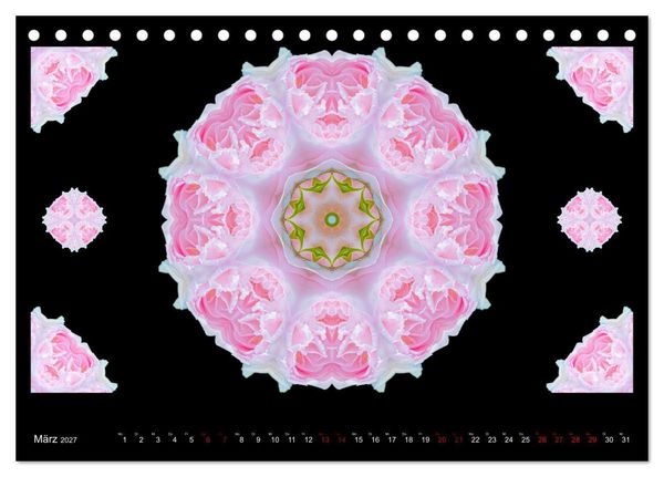 Produktbild: ROSEN MANDALAS (Tischkalender 2027 DIN A5 quer), CALVENDO Monatskalender
