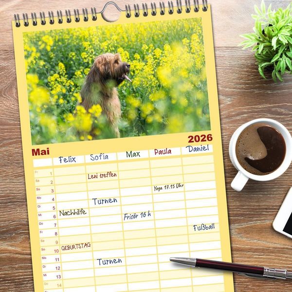 Produktbild: Familienplaner 2026 - Der Briard - Ein echter Charmeur mit 5 Spalten (Wandkalender, 21 x 45 cm) CALVENDO
