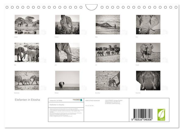 Produktbild: Elefanten in Etosha (Wandkalender 2026 DIN A4 quer), CALVENDO Monatskalender
