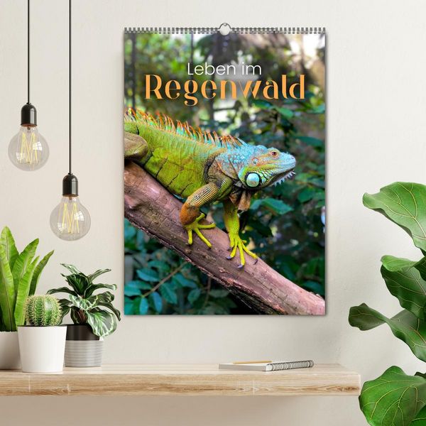Produktbild: Leben im Regenwald (Wandkalender 2026 DIN A2 hoch), CALVENDO Monatskalender