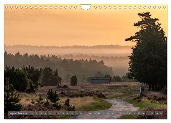 Produktbild: Die L&uuml;neburger Heide - In voller Bl&uuml;te (Wandkalender 2026 DIN A4 quer), CALVENDO Monatskalender