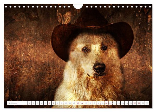 Produktbild: Hund tr&auml;gt Hut (Wandkalender 2026 DIN A4 quer), CALVENDO Monatskalender