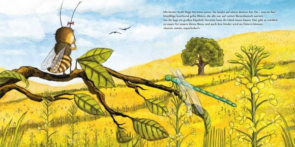 Produktbild: Kleine Biene Hermine, wo bist du zu Haus?