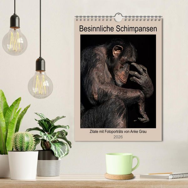 Produktbild: Besinnliche Schimpansen (Wandkalender 2026 DIN A4 hoch), CALVENDO Monatskalender