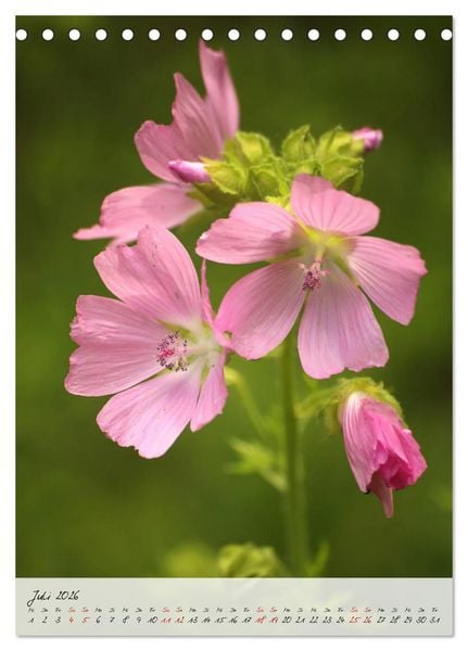 Produktbild: Florale Meisterwerke der Natur (Tischkalender 2026 DIN A5 hoch), CALVENDO Monatskalender