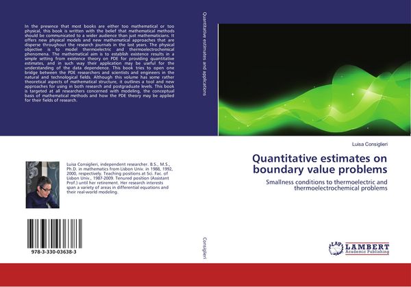 Produktbild: Quantitative estimates on boundary value problems