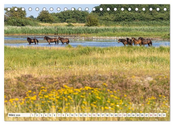 Produktbild: D&auml;nemark - Insel Langeland (Tischkalender 2026 DIN A5 quer), CALVENDO Monatskalender