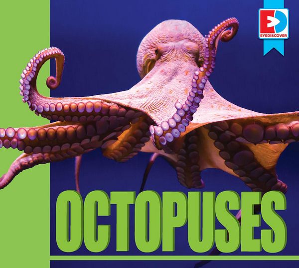 Produktbild: Octopuses