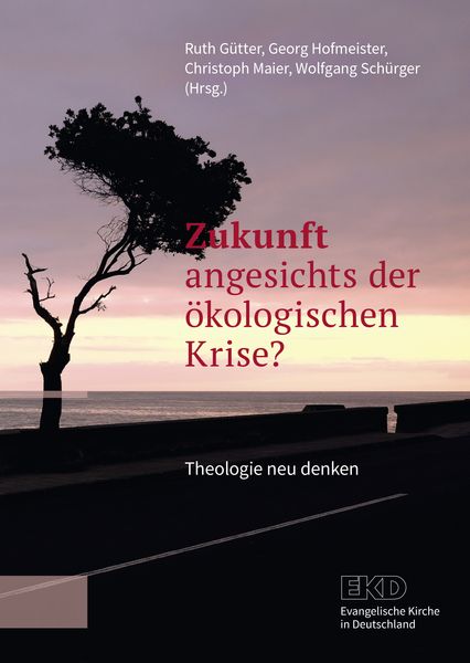 Produktbild: Zukunft angesichts der &ouml;kologischen Krise?