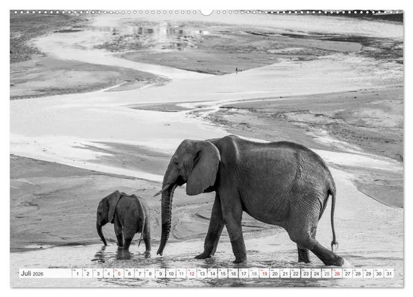 Produktbild: Emotionale Momente: Elefanten in black & white (hochwertiger Premium Wandkalender 2026 DIN A2 quer), Kunstdruck in Hochglanz