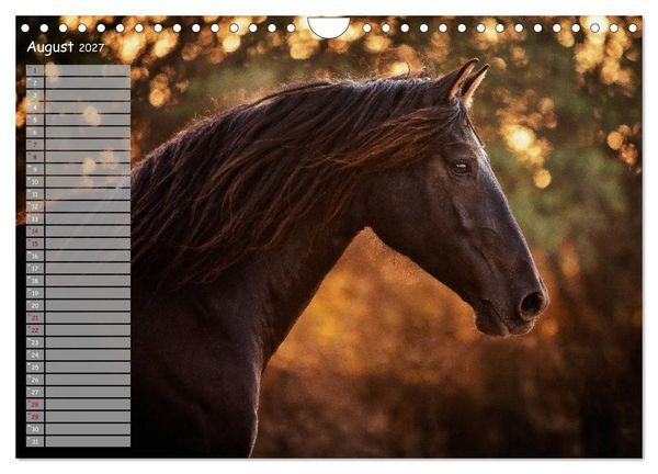 Produktbild: Pferde - Spiegel deiner Seele (Wandkalender 2027 DIN A4 quer), CALVENDO Monatskalender