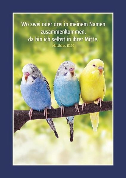 Produktbild: Tierisch fit!