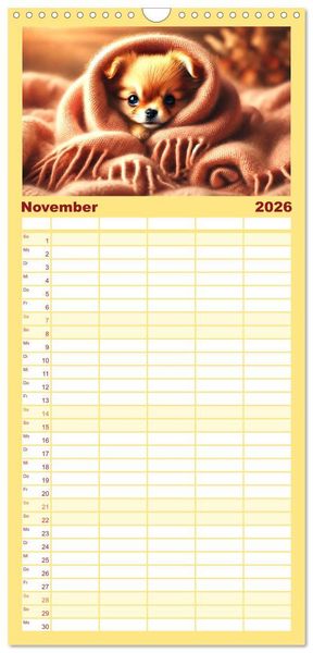 Produktbild: Familienplaner 2026 - Chihuahua-Welpen &ndash; Kleine Wunder mit 5 Spalten (Wandkalender, 21 x 45 cm) CALVENDO