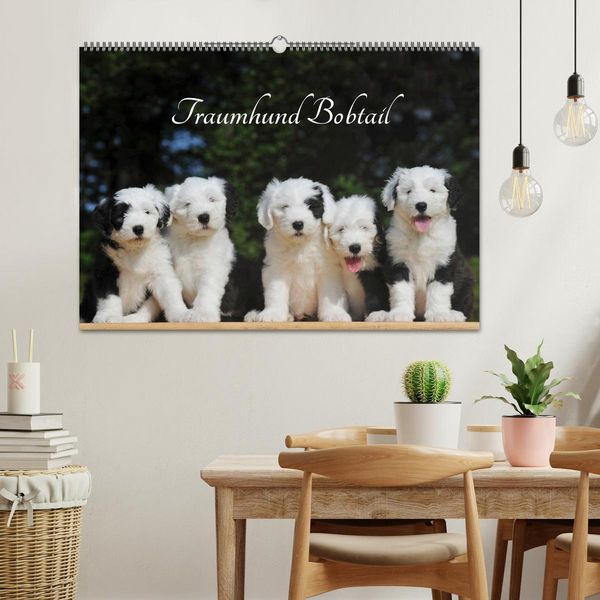 Produktbild: Traumhund Bobtail (Wandkalender 2026 DIN A2 quer), CALVENDO Monatskalender
