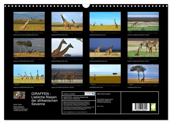 Produktbild: GIRAFFEN - Liebliche Riesen der afrikanischen Savanne (Wandkalender 2026 DIN A3 quer), CALVENDO Monatskalender