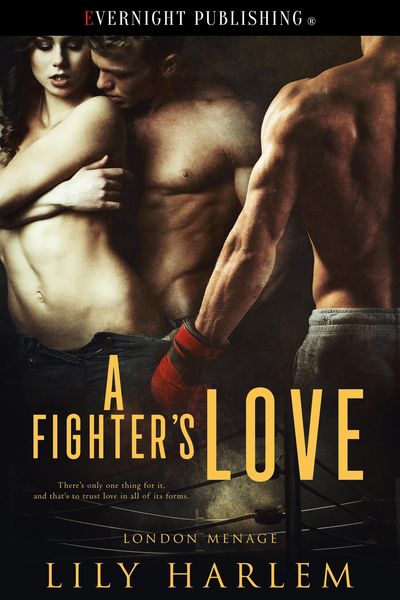 Produktbild: A Fighter's Love