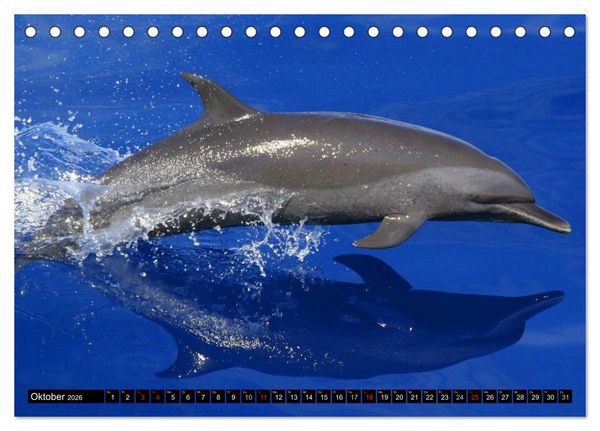 Produktbild: Delfine und Wale (Tischkalender 2026 DIN A5 quer), CALVENDO Monatskalender