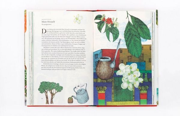Produktbild: In 80 Pflanzen um die Welt