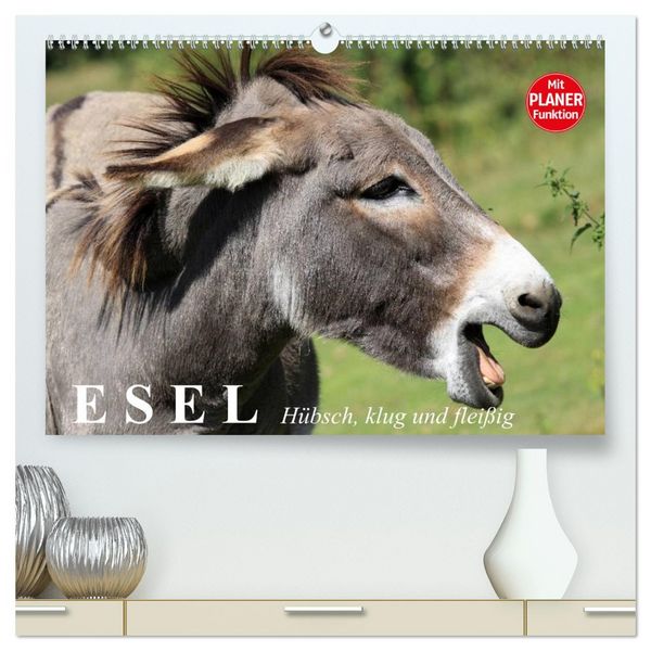Produktbild: Esel. H&uuml;bsch, klug und flei&szlig;ig (hochwertiger Premium Wandkalender 2026 DIN A2 quer), Kunstdruck in Hochglanz