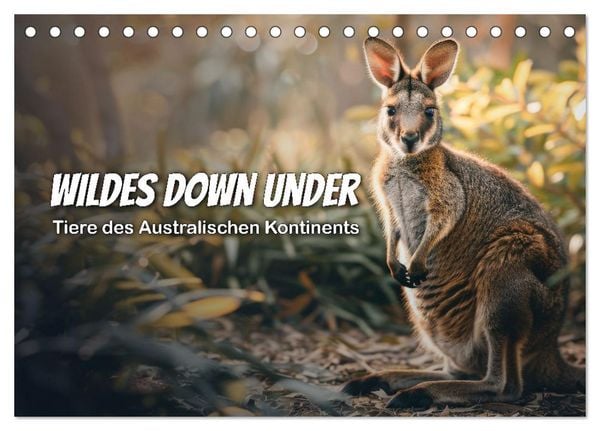 Produktbild: Wildes Down Under: Tiere des Australischen Kontinents (Tischkalender 2026 DIN A5 quer), CALVENDO Monatskalender