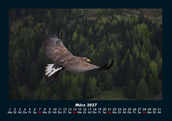 Produktbild: Adler 2027 Fotokalender DIN A4