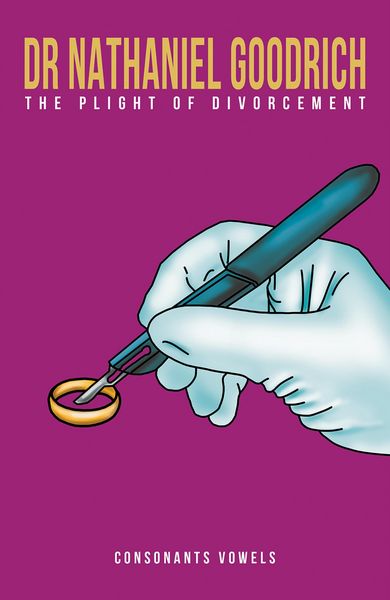 Produktbild: Dr Nathaniel Goodrich - The Plight of Divorcement
