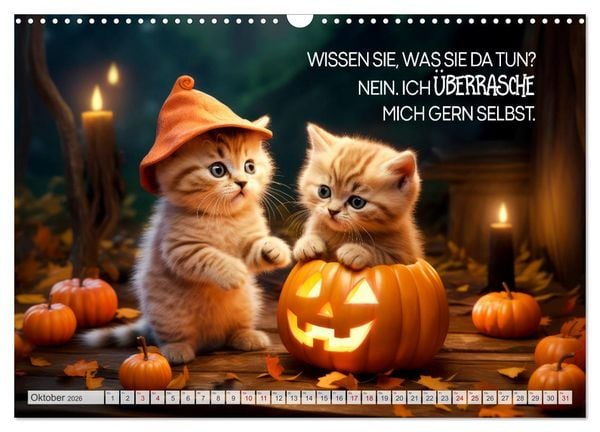 Produktbild: S&uuml;&szlig;e Katzen und coole Spr&uuml;che (Wandkalender 2026 DIN A3 quer), CALVENDO Monatskalender