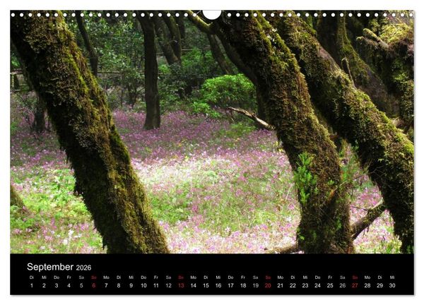 Produktbild: La Gomera (Wandkalender 2026 DIN A3 quer), CALVENDO Monatskalender