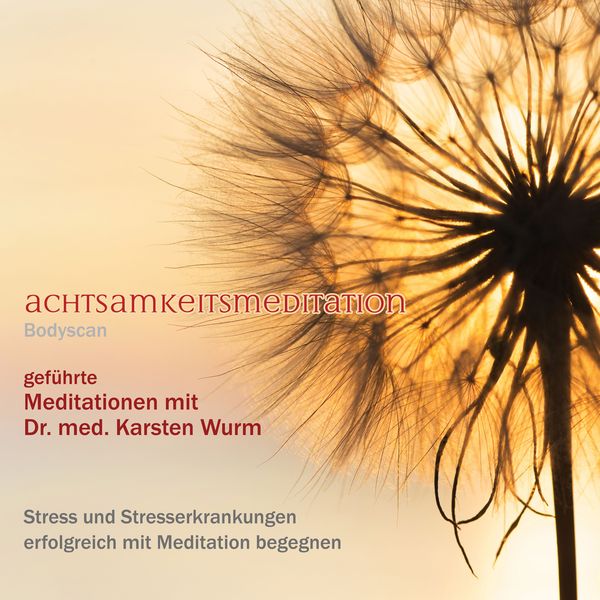 Achtsamkeitsmeditation - Bodyscan - Karsten Wurm, Audio, 4061707233678