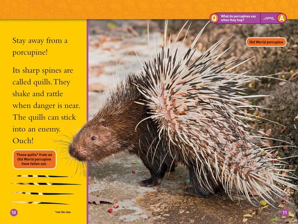 Produktbild: Animal Armor (National Geographic Kids Readers, Level 1)