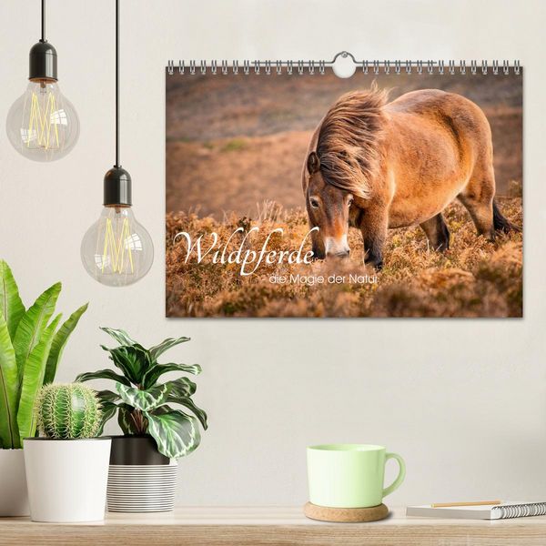 Produktbild: Wildperde - die Magie der Natur (Wandkalender 2026 DIN A4 quer), CALVENDO Monatskalender