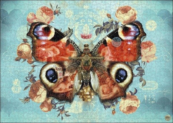 Produktbild: Wings No. 3