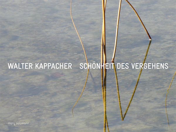 Produktbild: Schoenheit des Vergehens