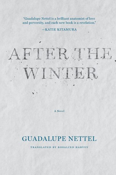 Produktbild: After the Winter