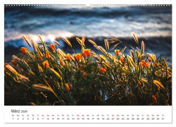 Produktbild: Die magische Welt der Blumen (hochwertiger Premium Wandkalender 2026 DIN A2 quer), Kunstdruck in Hochglanz