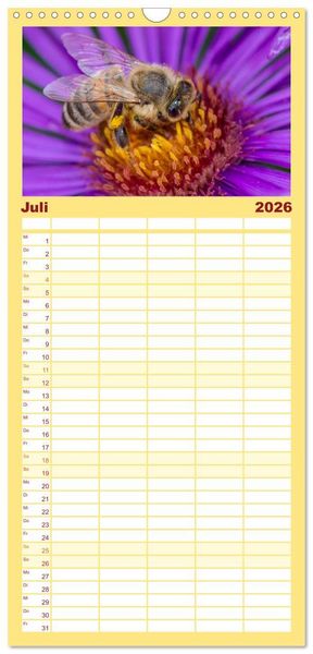 Produktbild: Familienplaner 2026 - Bienenkalender mit 5 Spalten (Wandkalender, 21 x 45 cm) CALVENDO