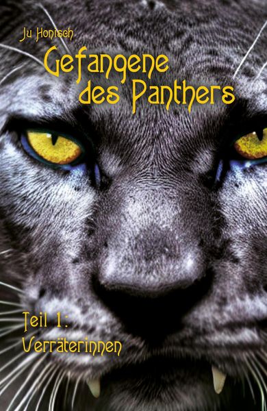 Produktbild: Gefangene des Panthers - Teil 1: Verr&auml;terinnen