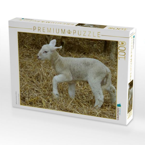 Produktbild: CALVENDO Puzzle Wei&szlig;es L&auml;mmchen im Stroh | 1000 Teile Lege-Gr&ouml;&szlig;e 64x48cm Foto-Puzzle f&uuml;r gl&uuml;ckliche Stunden