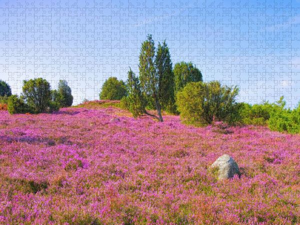 Produktbild: CALVENDO Puzzle L&uuml;neburger Heide | 1000 Teile Lege-Gr&ouml;&szlig;e 64x48cm Foto-Puzzle f&uuml;r gl&uuml;ckliche Stunden