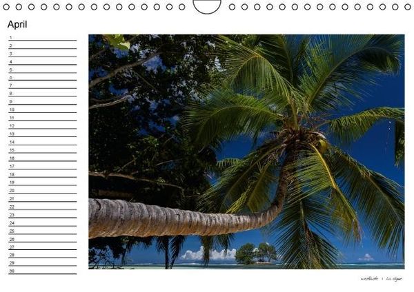 Produktbild: die seychellen - ganz nah am paradies (Wandkalender immerw&auml;hrend DIN A4 quer)