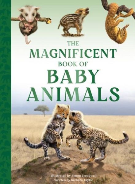 Produktbild: The Magnificent Book of Baby Animals