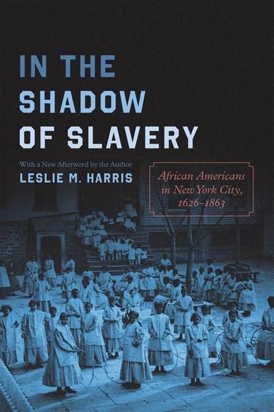 Produktbild: In the Shadow of Slavery