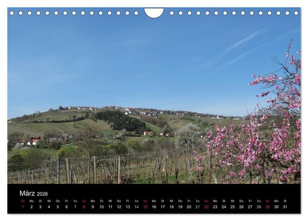 Produktbild: Weinidylle im S&uuml;dburgenland (Wandkalender 2026 DIN A4 quer), CALVENDO Monatskalender