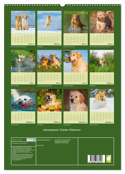 Produktbild: Jahresplaner Golden Retriever (hochwertiger Premium Wandkalender 2026 DIN A2 hoch), Kunstdruck in Hochglanz