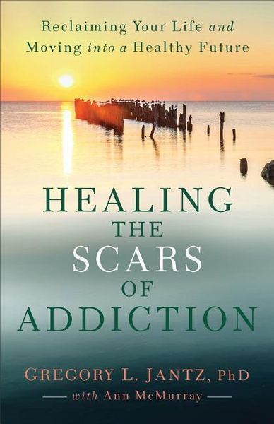 Produktbild: Healing the Scars of Addiction