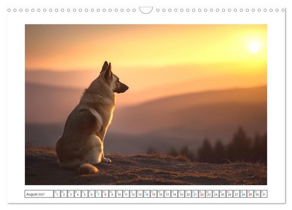 Produktbild: Treue, die bleibt. Emotionale Augenblicke mit Sch&auml;ferhunden. (Wandkalender 2027 DIN A3 quer), CALVENDO Monatskalender