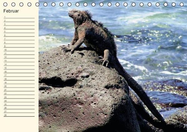 Produktbild: Gal&aacute;pagos Geburtstagskalender (Tischkalender immerw&auml;hrend DIN A5 quer)