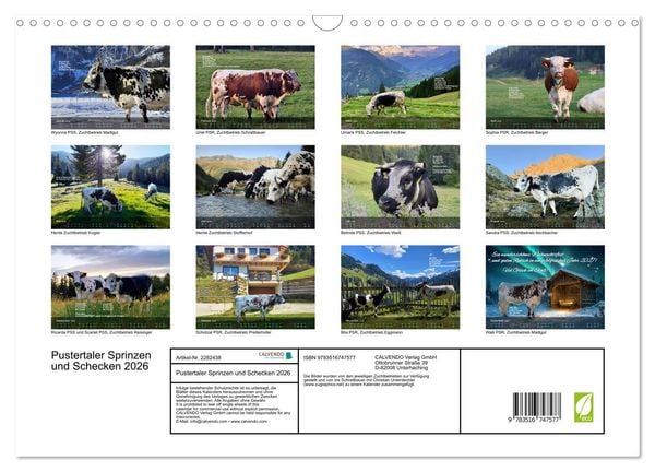 Produktbild: Pustertaler Sprinzen und Schecken 2026 (Wandkalender 2026 DIN A3 quer), CALVENDO Monatskalender