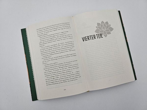Produktbild: Die Lotosschuhe