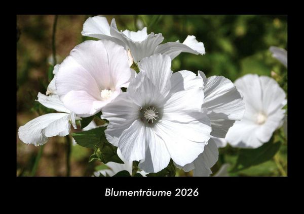 Produktbild: Blumentr&auml;ume 2026 Fotokalender DIN A3